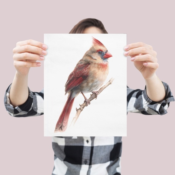 Watercolor Female Cardinal Bird Wall Art Print Unframed - Picture 4 of 7
